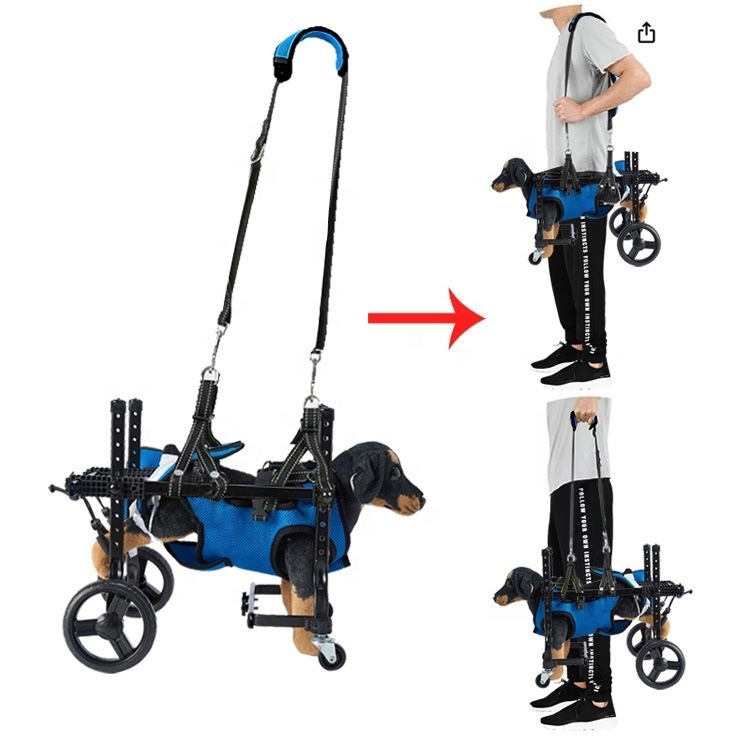 Küçük Köpek Rehabilitasyon Eği - Outdoor Power Wheels incelemesi ve fiyatı